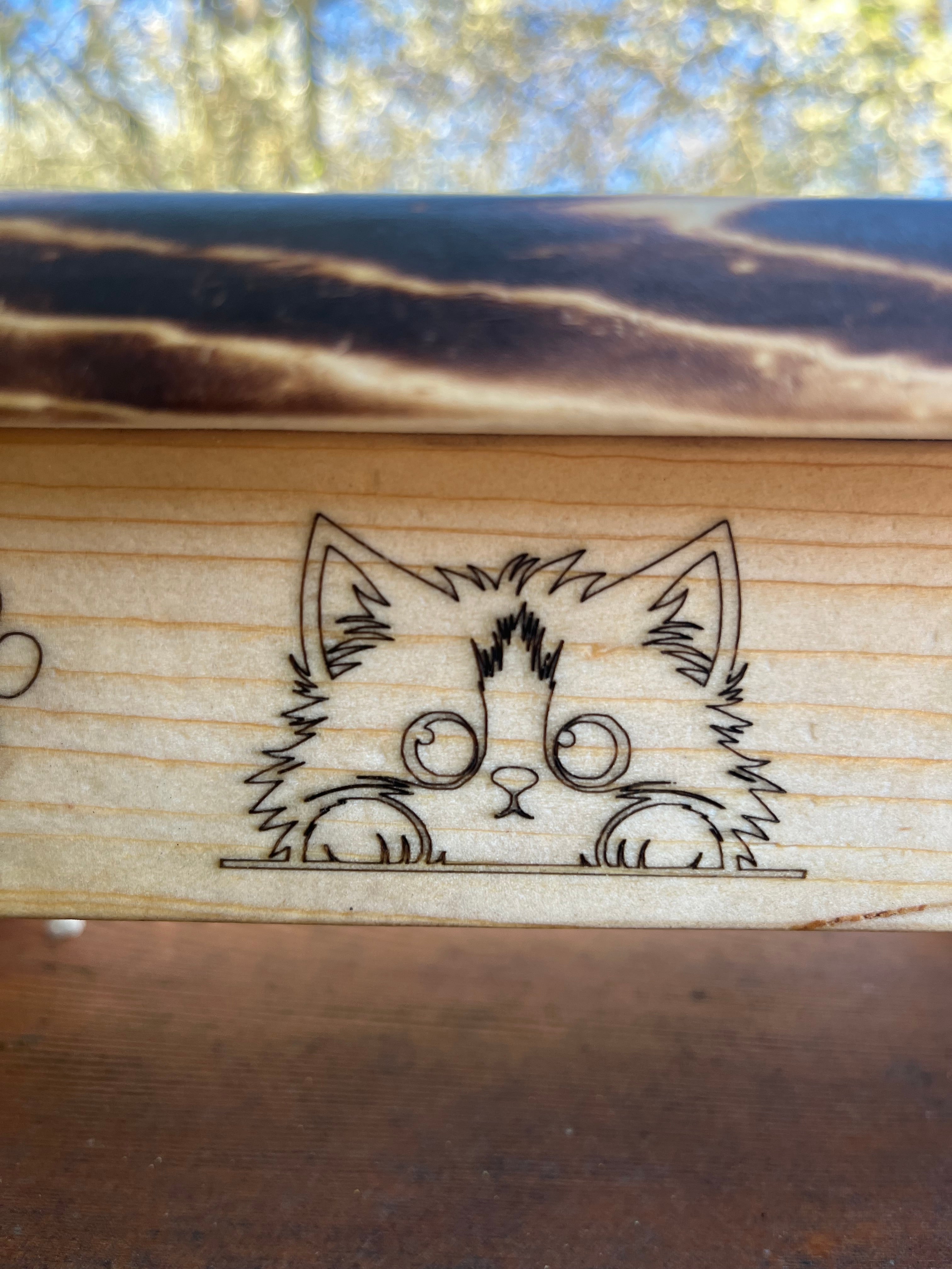 Cute Elevated Cat Feeder – Engraved Kittens, Paw Prints & Rustic Wood Design