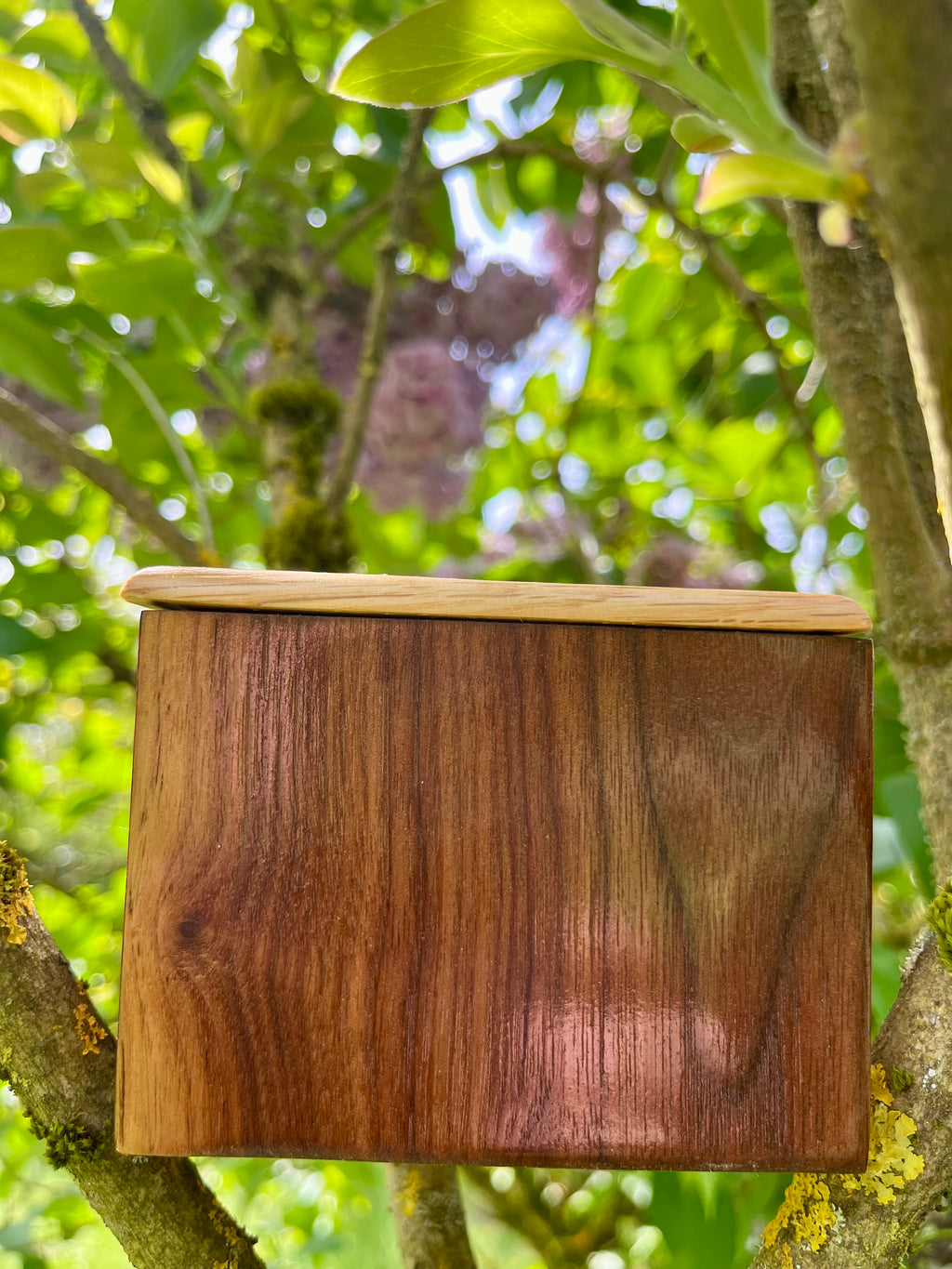 Handmade 5-Wood Keepsake Box: Black Sparkle Felt Lining, Tung Oil Finish
