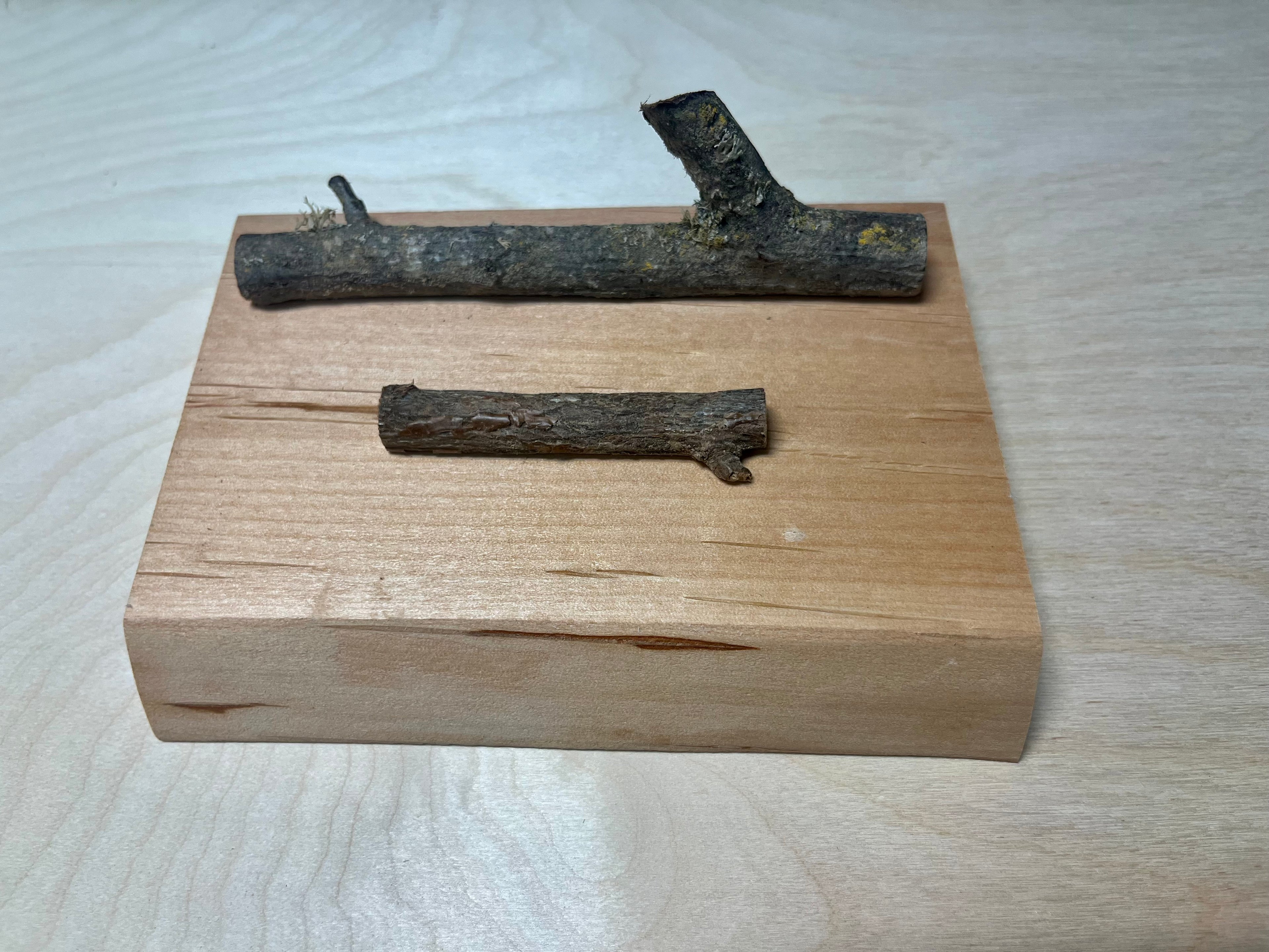 Handmade Live-Edge Plum Wood Business Card Holder | Natural Twig Desk Organizer | Rustic Office Card Display