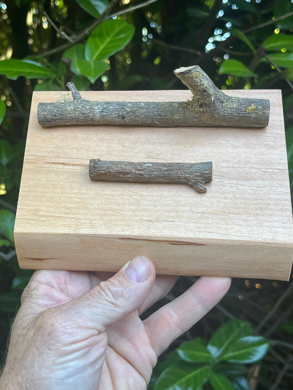 Handmade Live-Edge Plum Wood Business Card Holder | Natural Twig Desk Organizer | Rustic Office Card Display