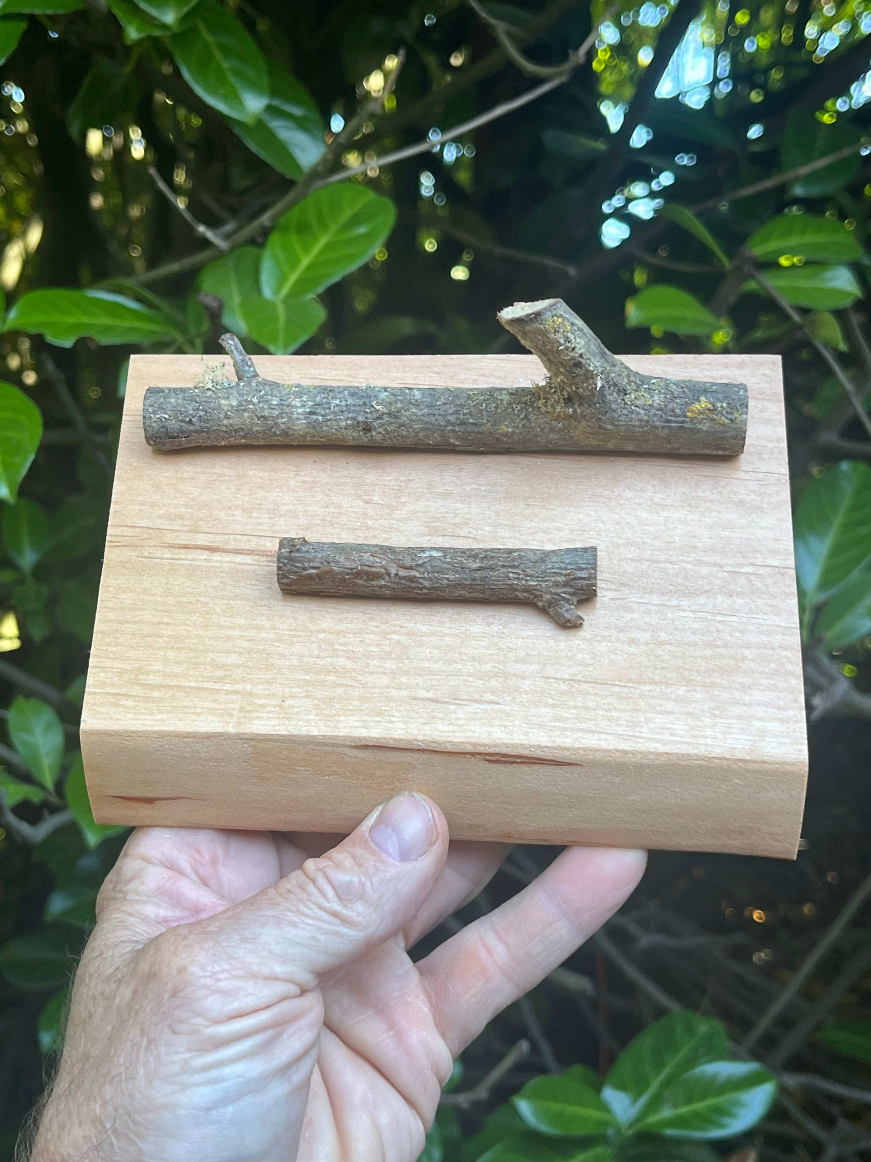 Handmade Live-Edge Plum Wood Business Card Holder | Natural Twig Desk Organizer | Rustic Office Card Display