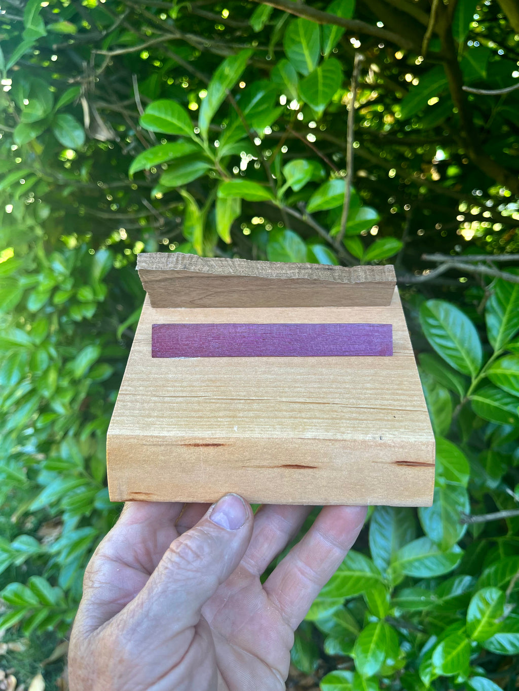 Handmade Live-Edge Plum Wood Business Card Holder | Walnut & Purpleheart Desk Organizer | One-of-a-Kind Office Display