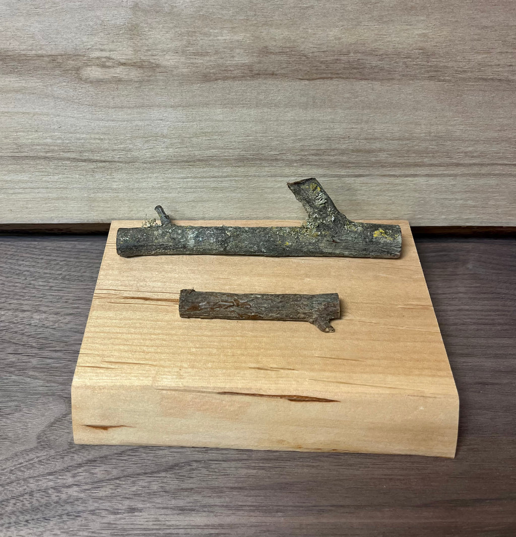 Handmade Live-Edge Plum Wood Business Card Holder | Natural Twig Desk Organizer | Rustic Office Card Display