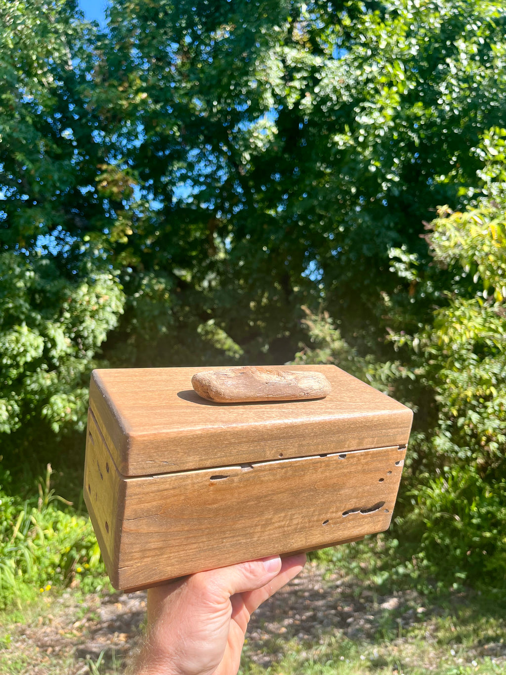 A hand holds a rectangular wooden box outdoors with a blurred background of green trees and blue sky. The box has a natural wood finish and a driftwood piece on top from the Oregon coast. Very unique grain patterns 