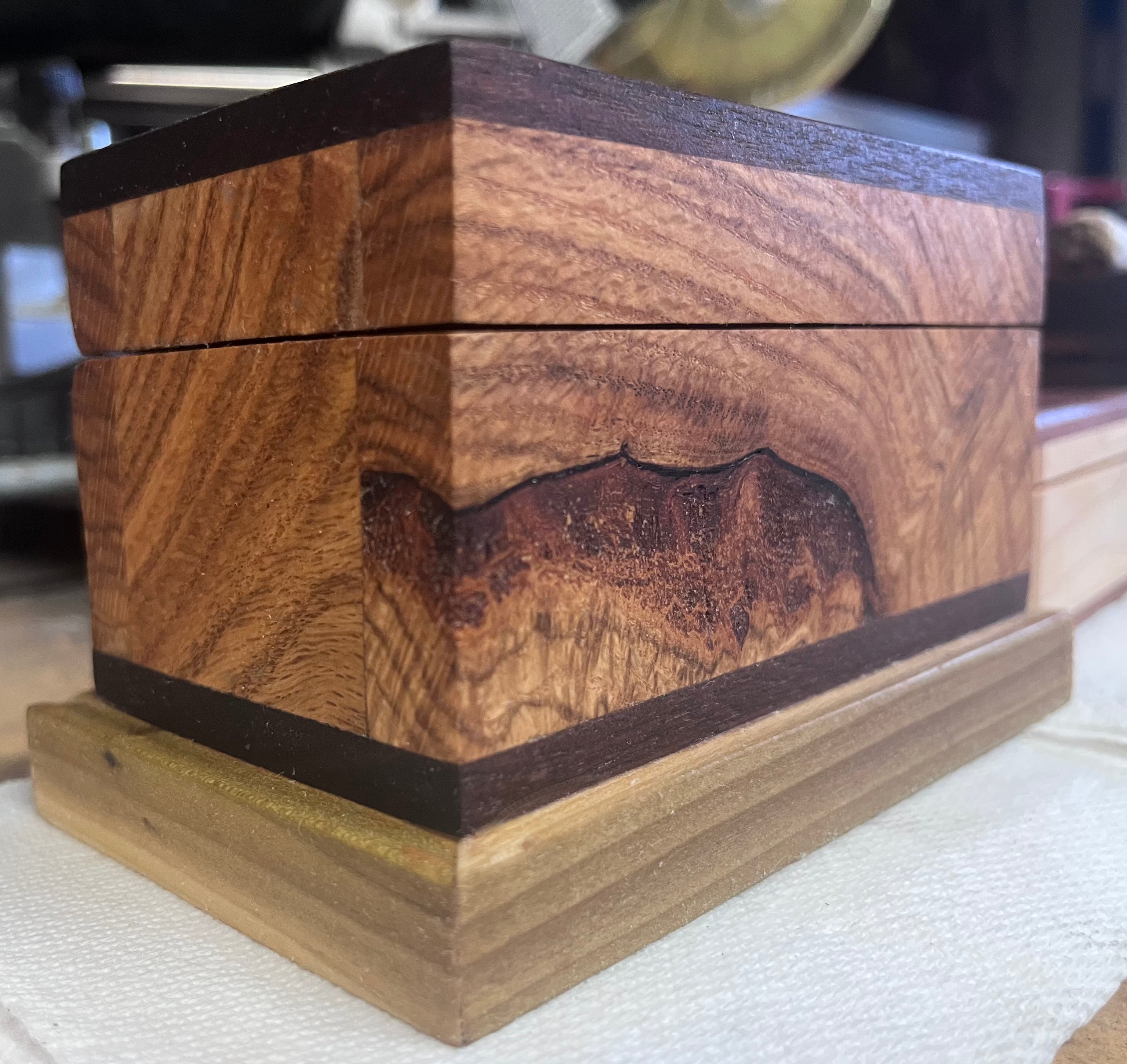 Oregon Oak & Walnut Keepsake Box | One-of-a-Kind | Hinged Lid | Green Felt Lined