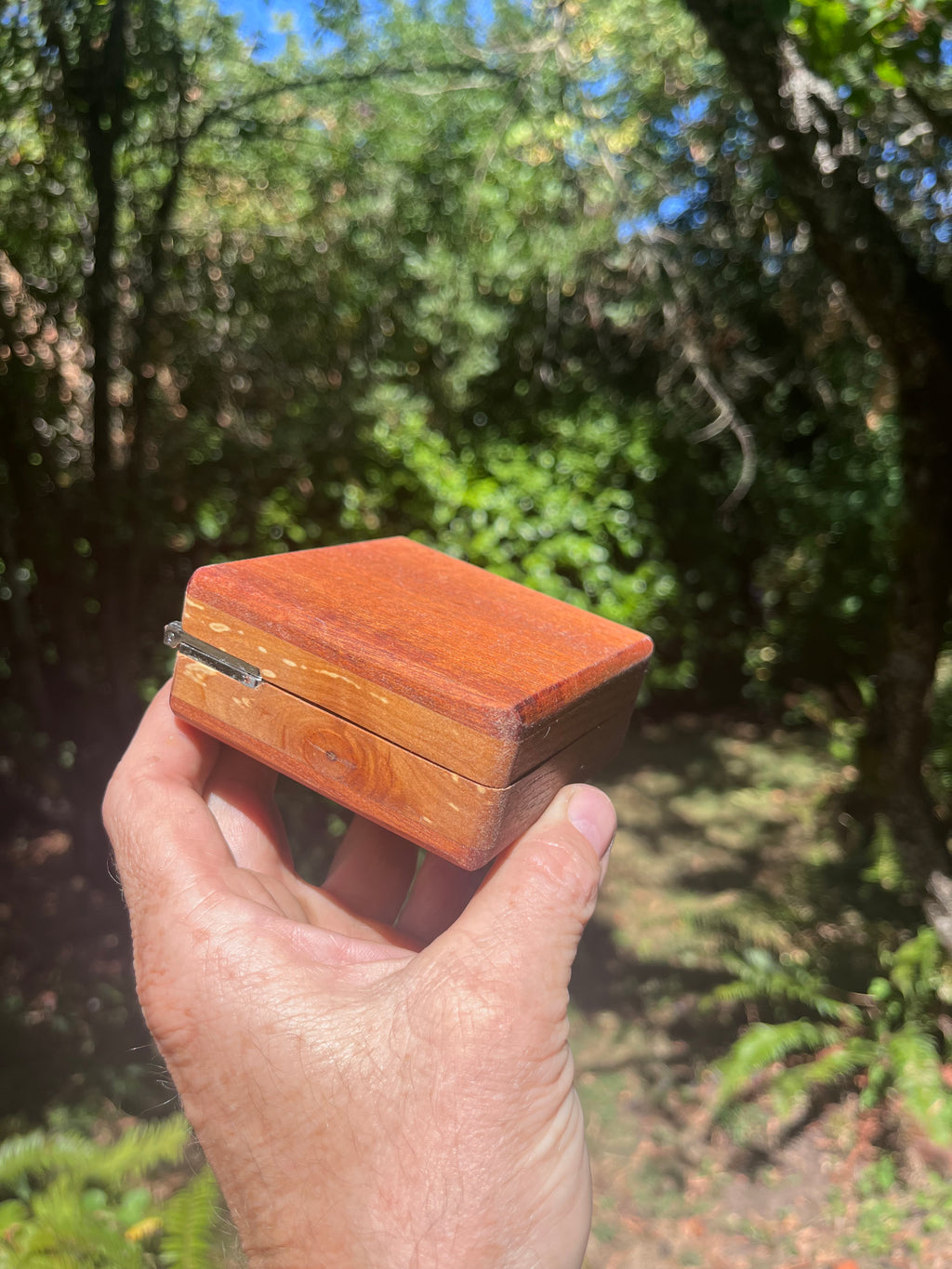 Walnut, Heirloom Apple & Sapele Keepsake Box | Two Compartments | Triple Felt | Handmade in Oregon