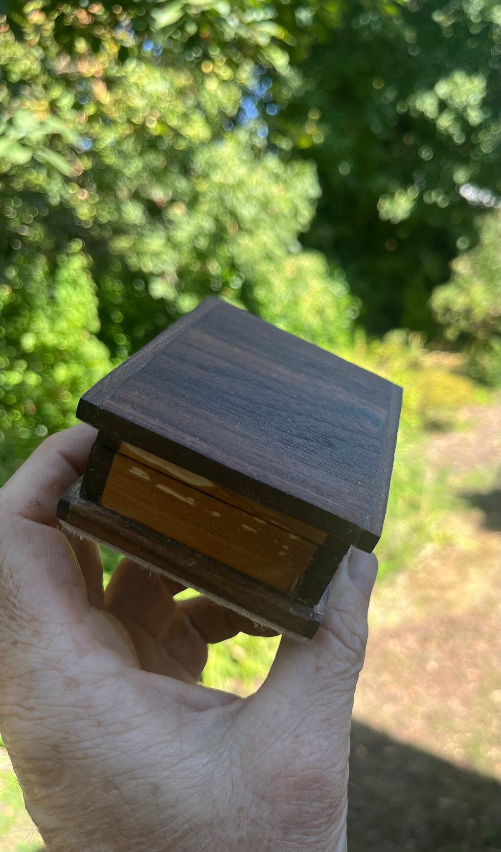 Walnut, Heirloom Apple & Purpleheart Keepsake Box | Removable Lid | Gray Felt | Handmade in Oregon