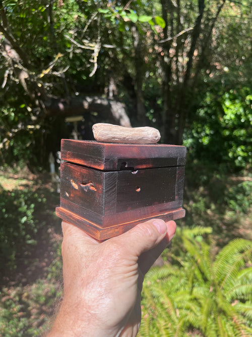 A hand holding a small dark wooden box outdoors in a wooded setting with green foliage in the background.