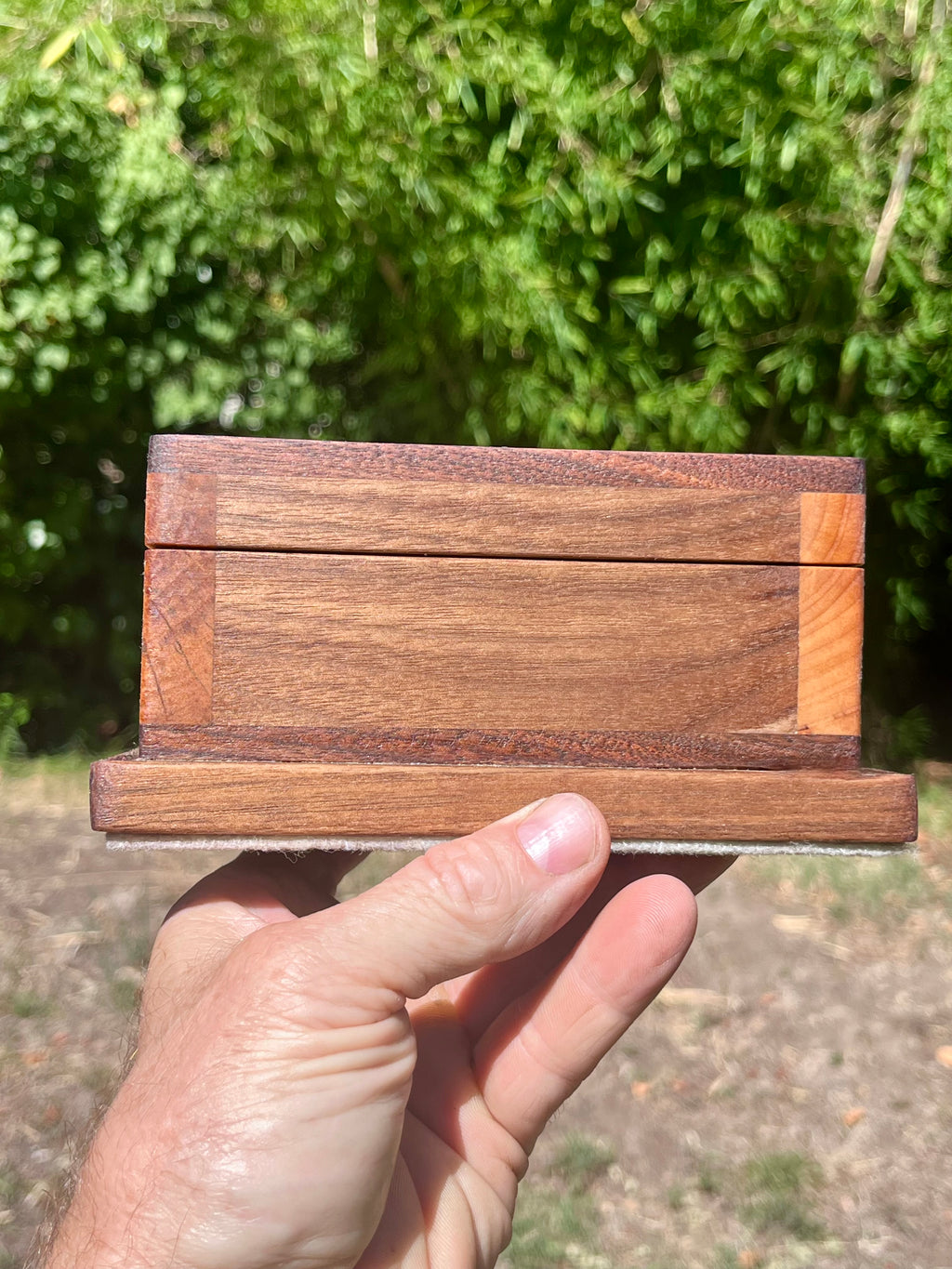 Locally Grown Walnut & Ash Treasure Chest | Brass Hinges | Black Felt | Handmade in Oregon