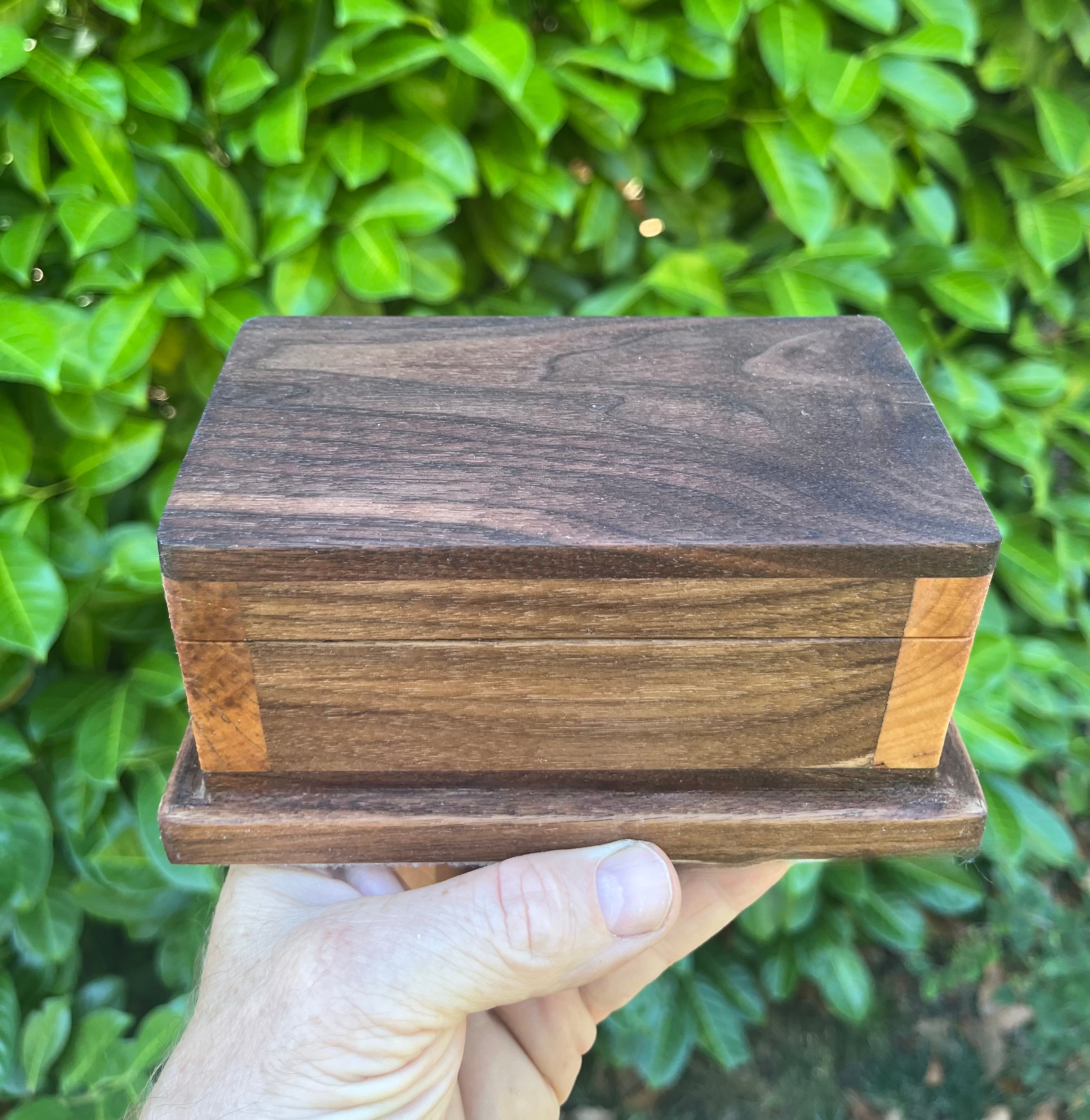 Locally Grown Walnut & Ash Treasure Chest | Brass Hinges | Black Felt | Handmade in Oregon