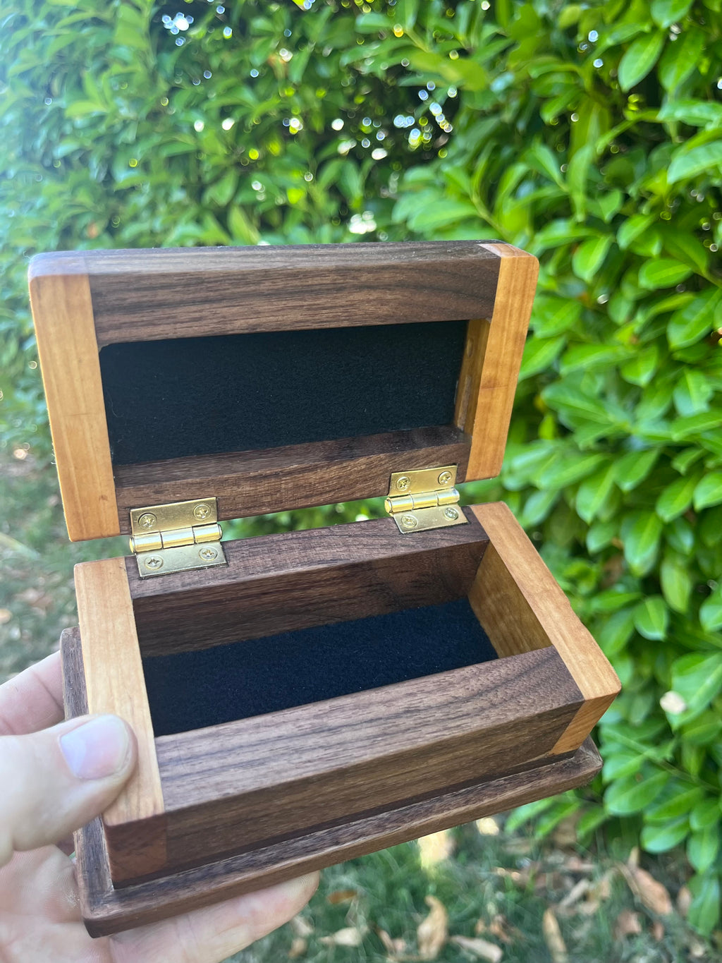 Locally Grown Walnut & Ash Treasure Chest | Brass Hinges | Black Felt | Handmade in Oregon