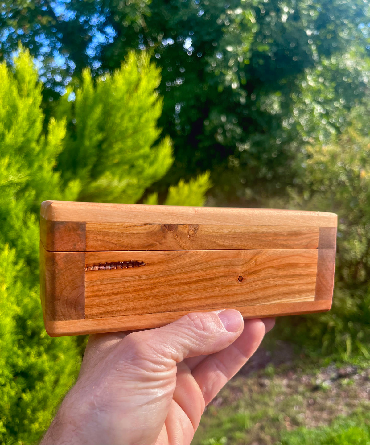 Heirloom Apple, Plum & Alder Treasure Chest Box