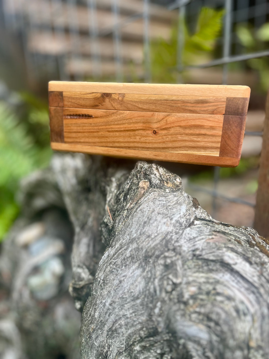Heirloom Apple, Plum & Alder Treasure Chest Box