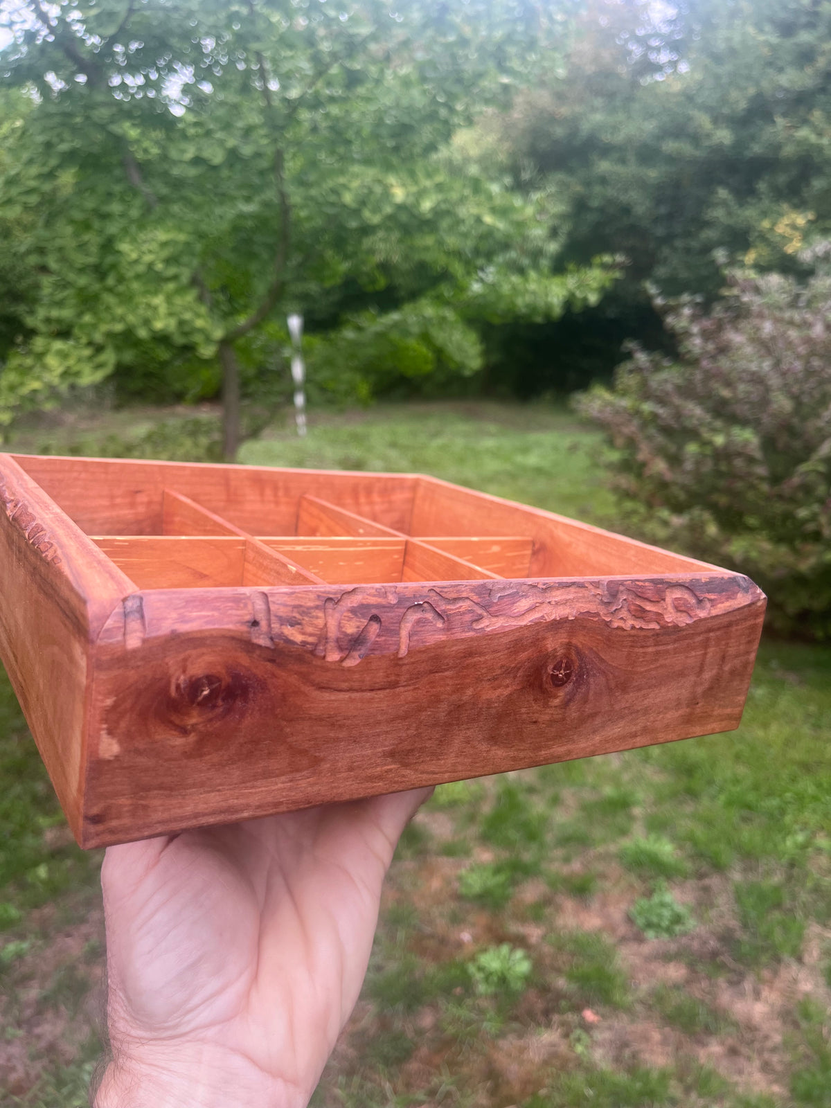 Live Edge Ash & Heirloom Apple Tea Box – 6 Compartment Organizer