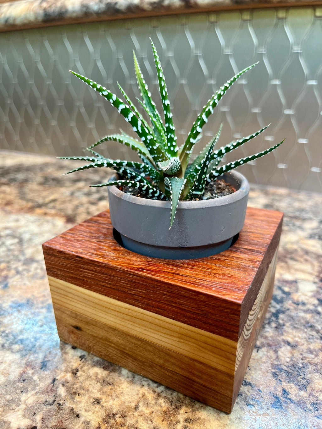 Oak, Maple and Teak Wood Plant or Candle Holder