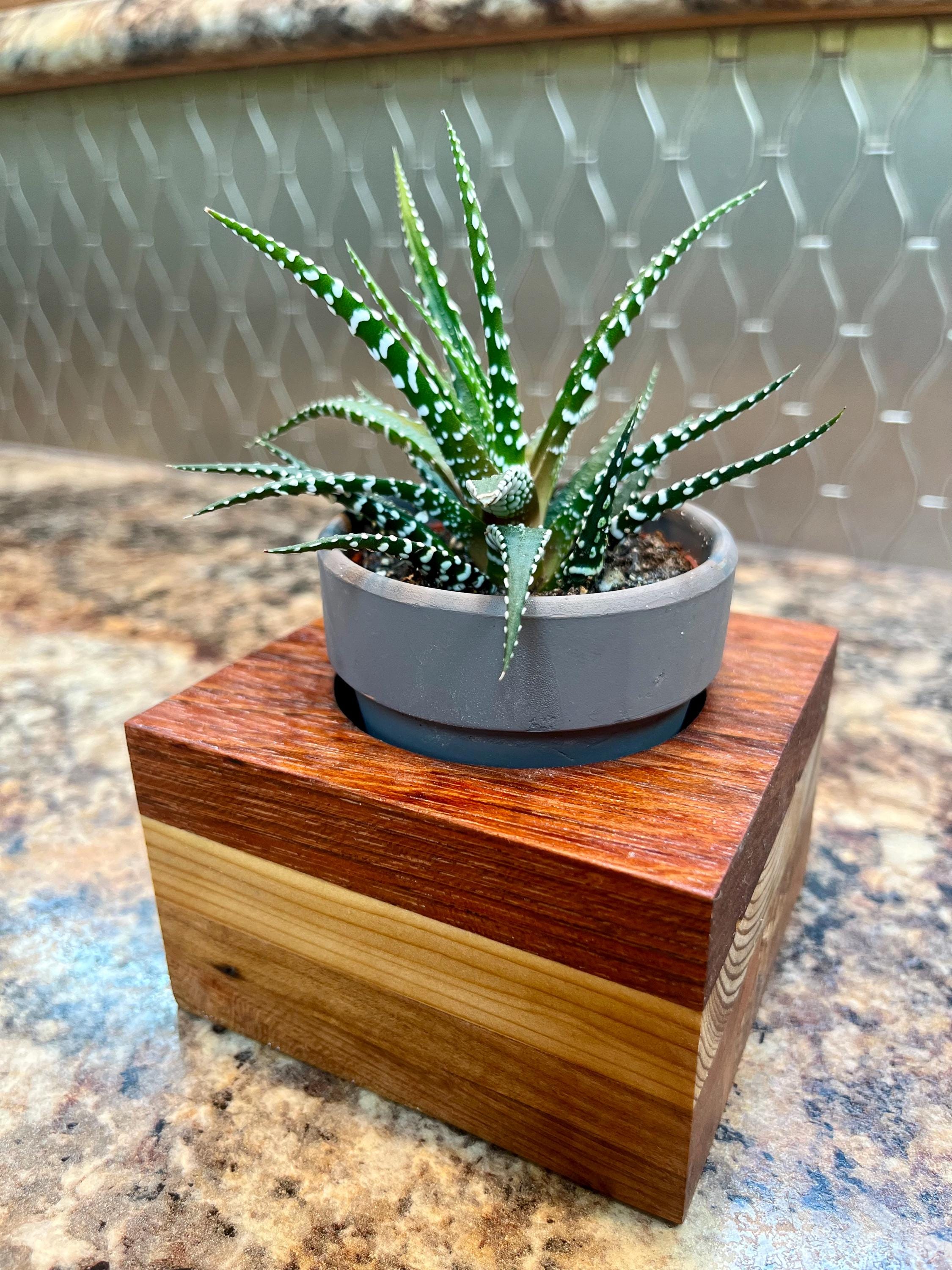 Oak, Maple and Teak Wood Plant or Candle Holder