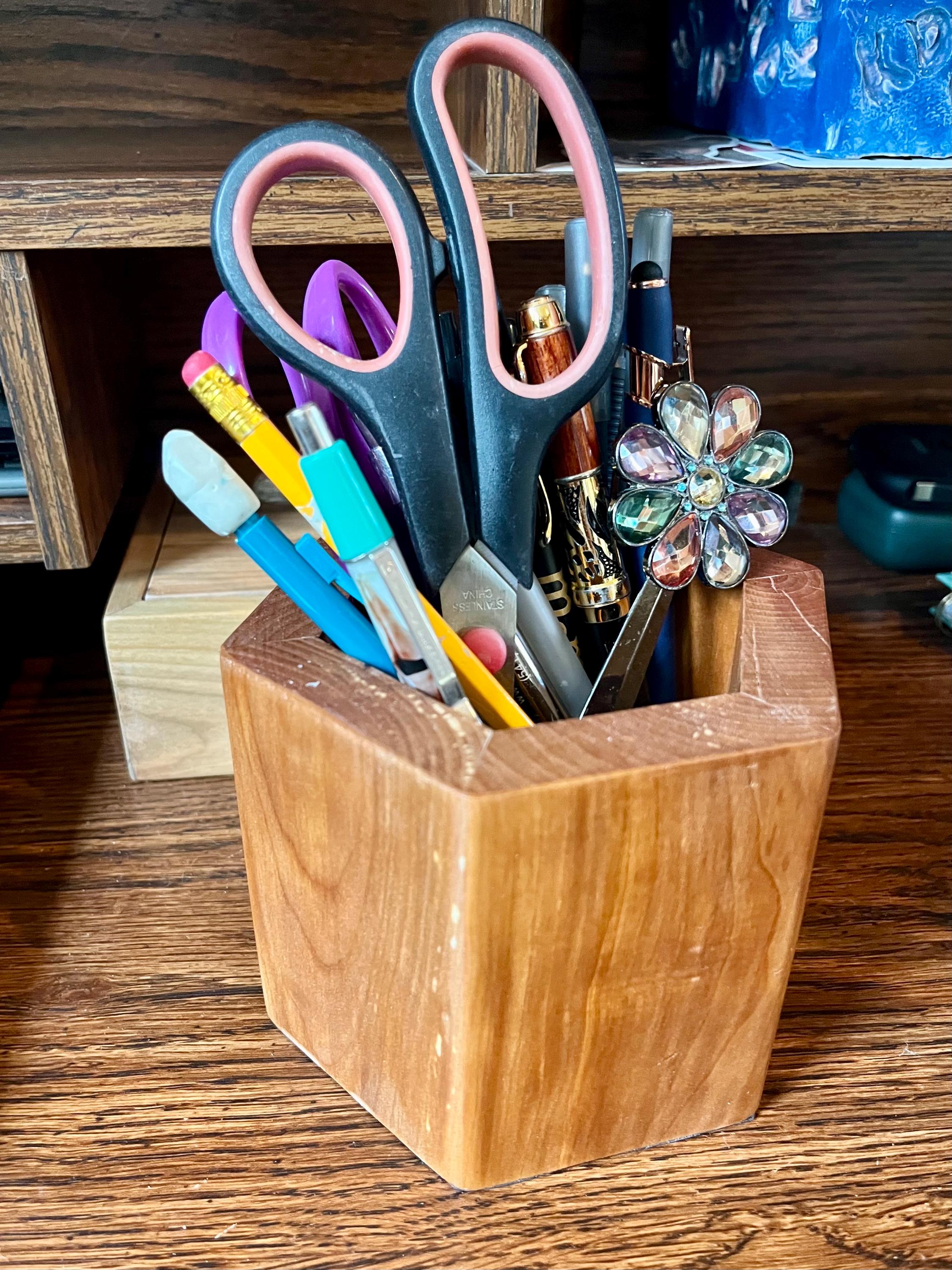 Handmade Apple Wood Pen & Pencil Holder | Locally Grown Heirloom Wood | Rustic Desk Organizer