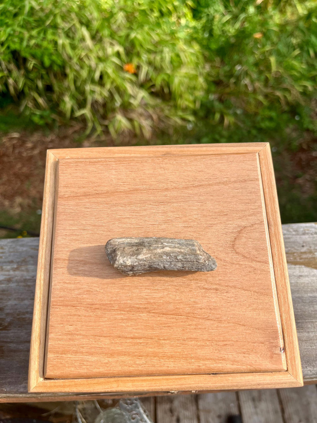 Apple Wood Jewelry Box with Petrified Wood Lid: Green Felt Lined