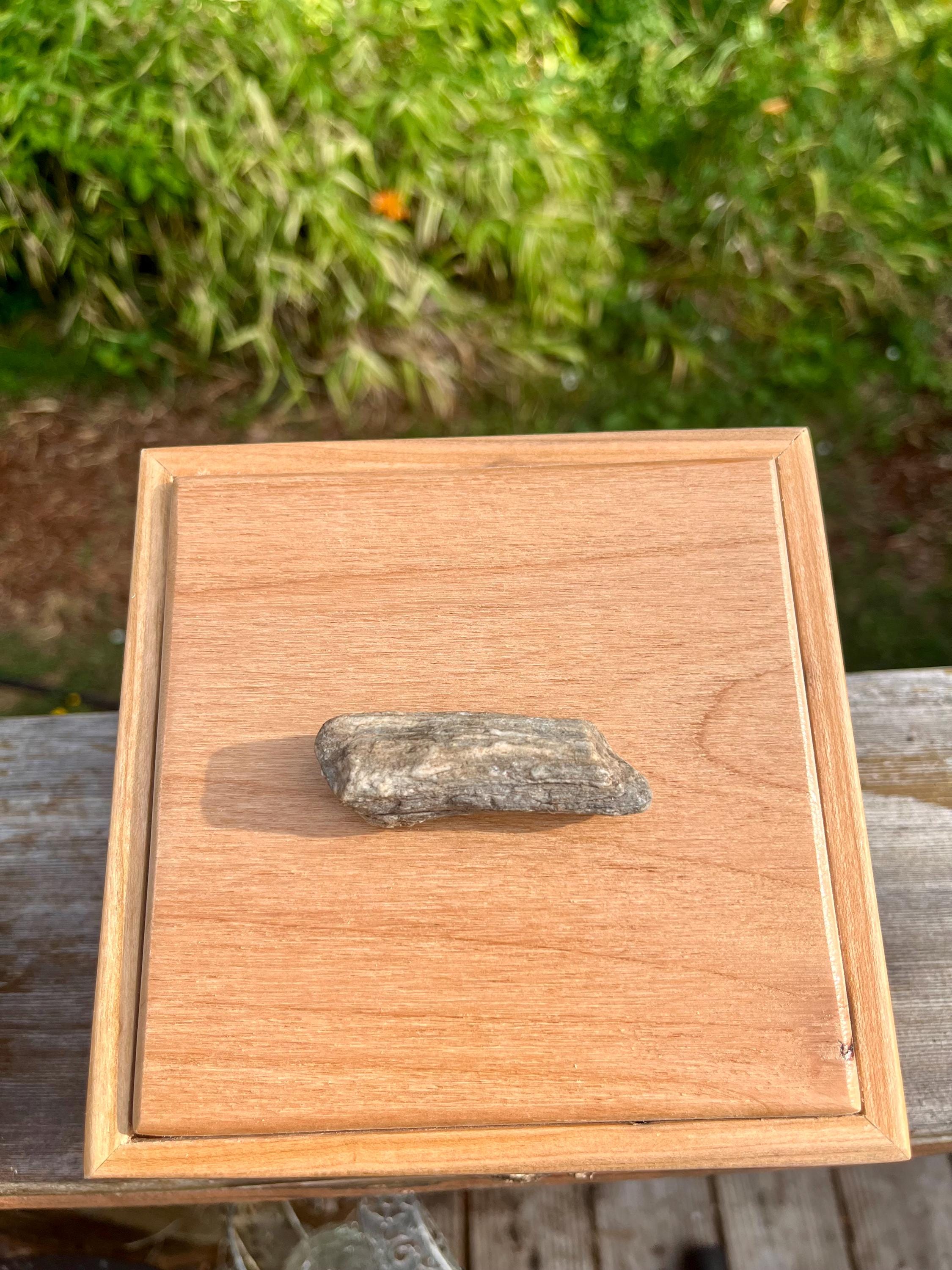 Apple Wood Jewelry Box with Petrified Wood Lid: Green Felt Lined
