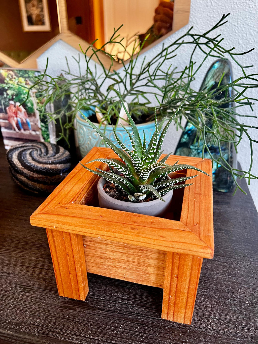 Mini Cedar Plant Stand: Rustic Reclaimed Wood Riser for 3-4" Pots
