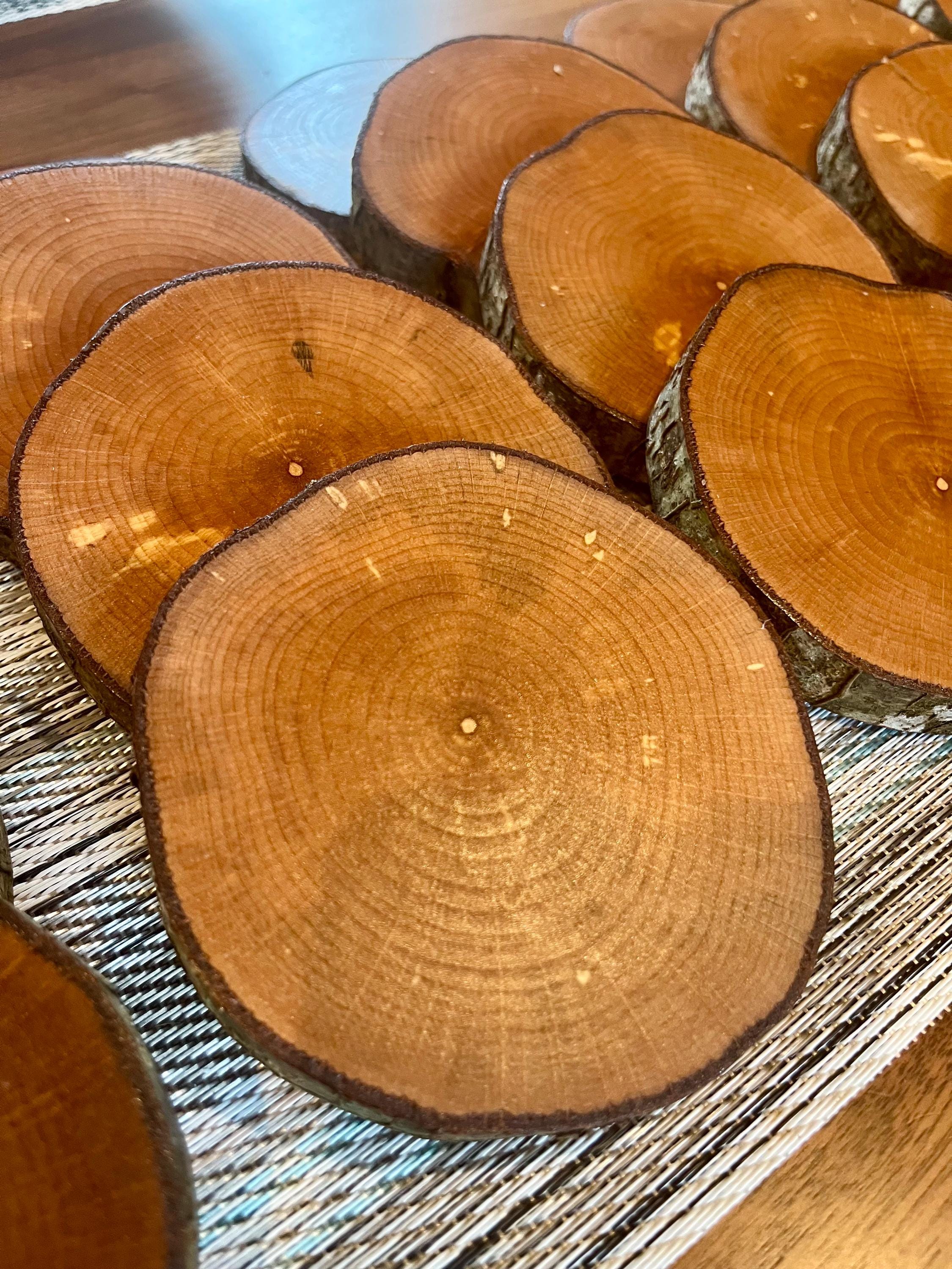 Live-Edge Wood Coasters: Rustic Hazelnut Tree Slices, Set of 4