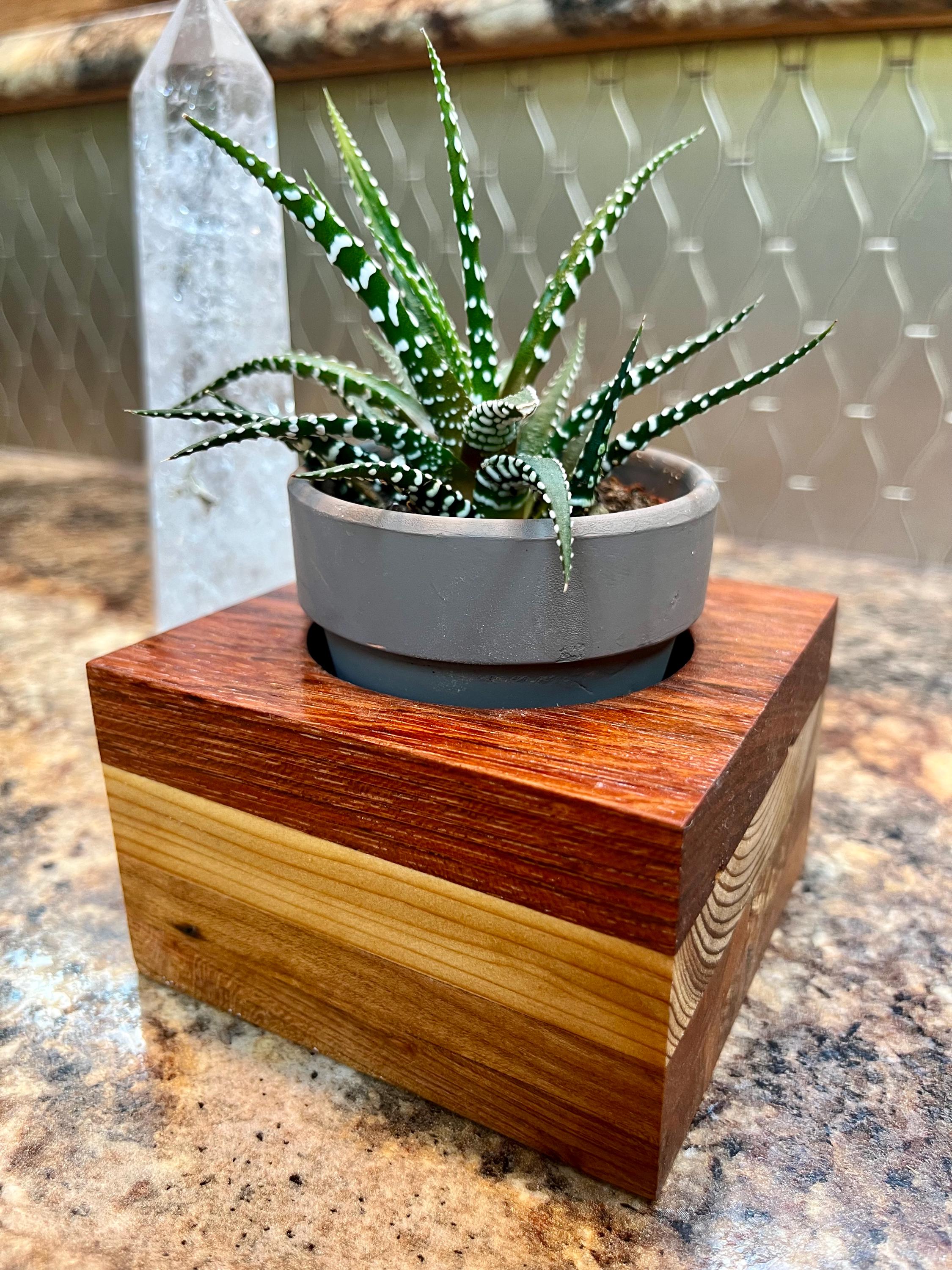 Oak, Maple and Teak Wood Plant or Candle Holder