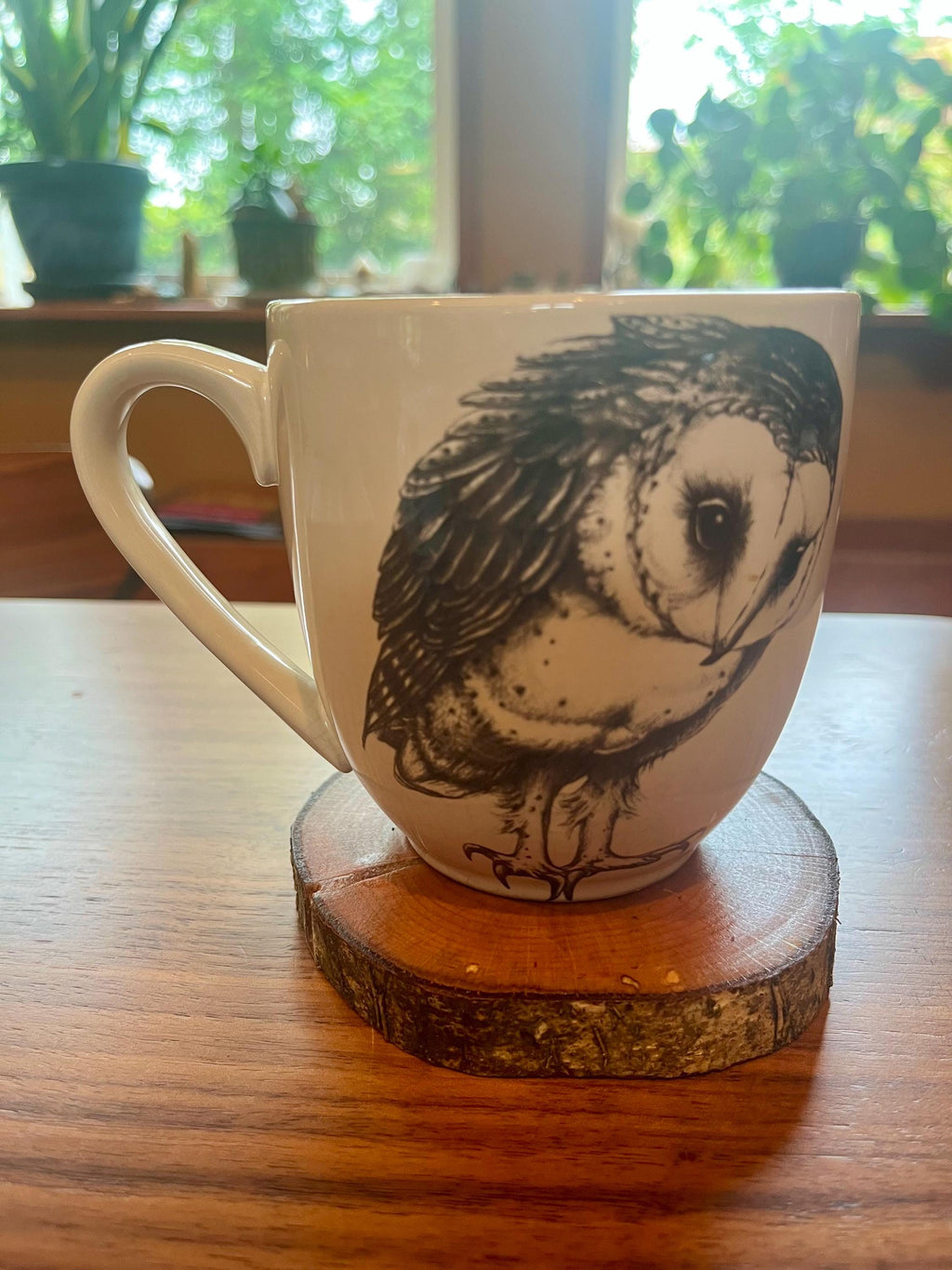 Live-Edge Wood Coasters: Rustic Hazelnut Tree Slices, Set of 4