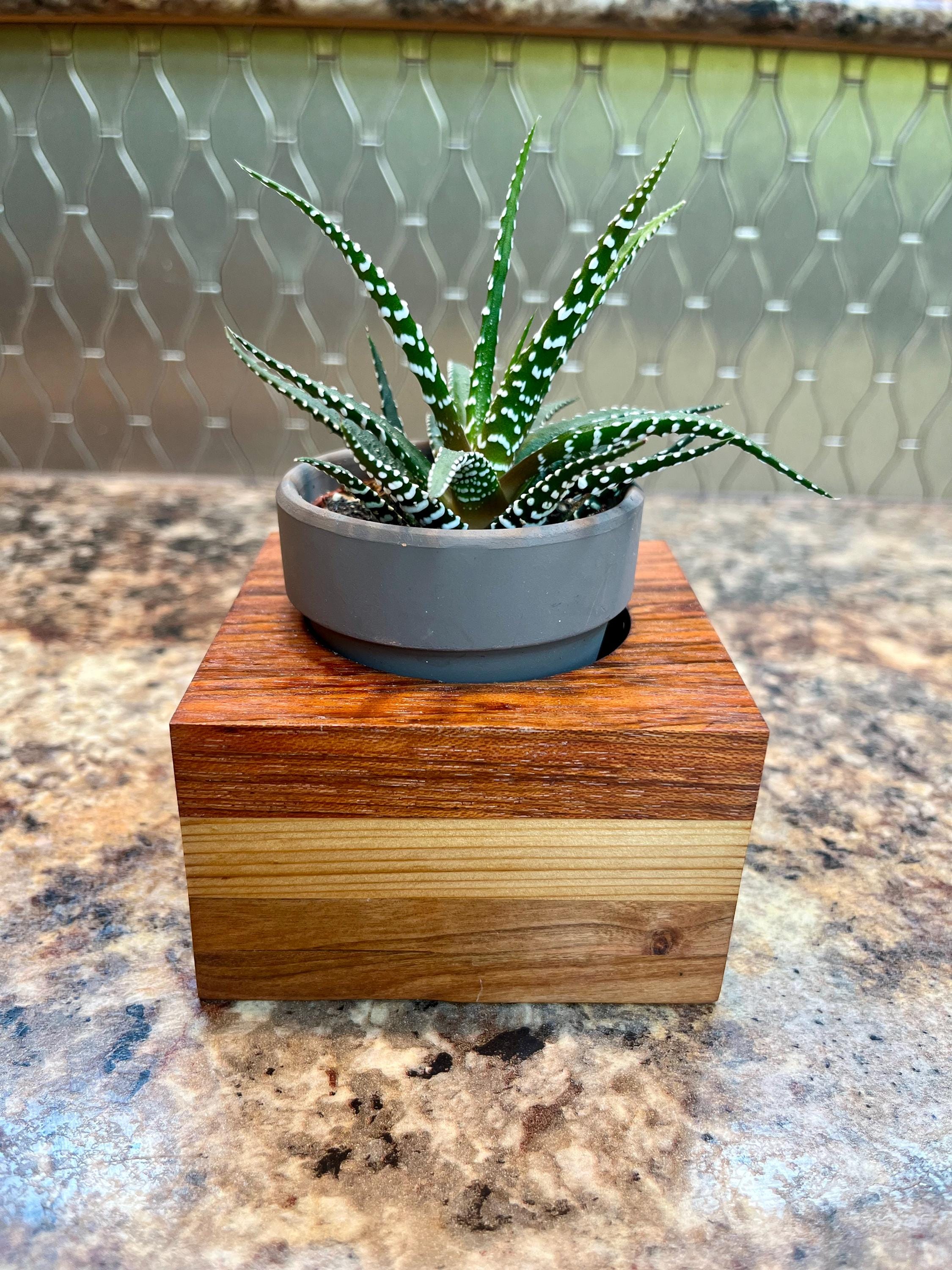 Oak, Maple and Teak Wood Plant or Candle Holder