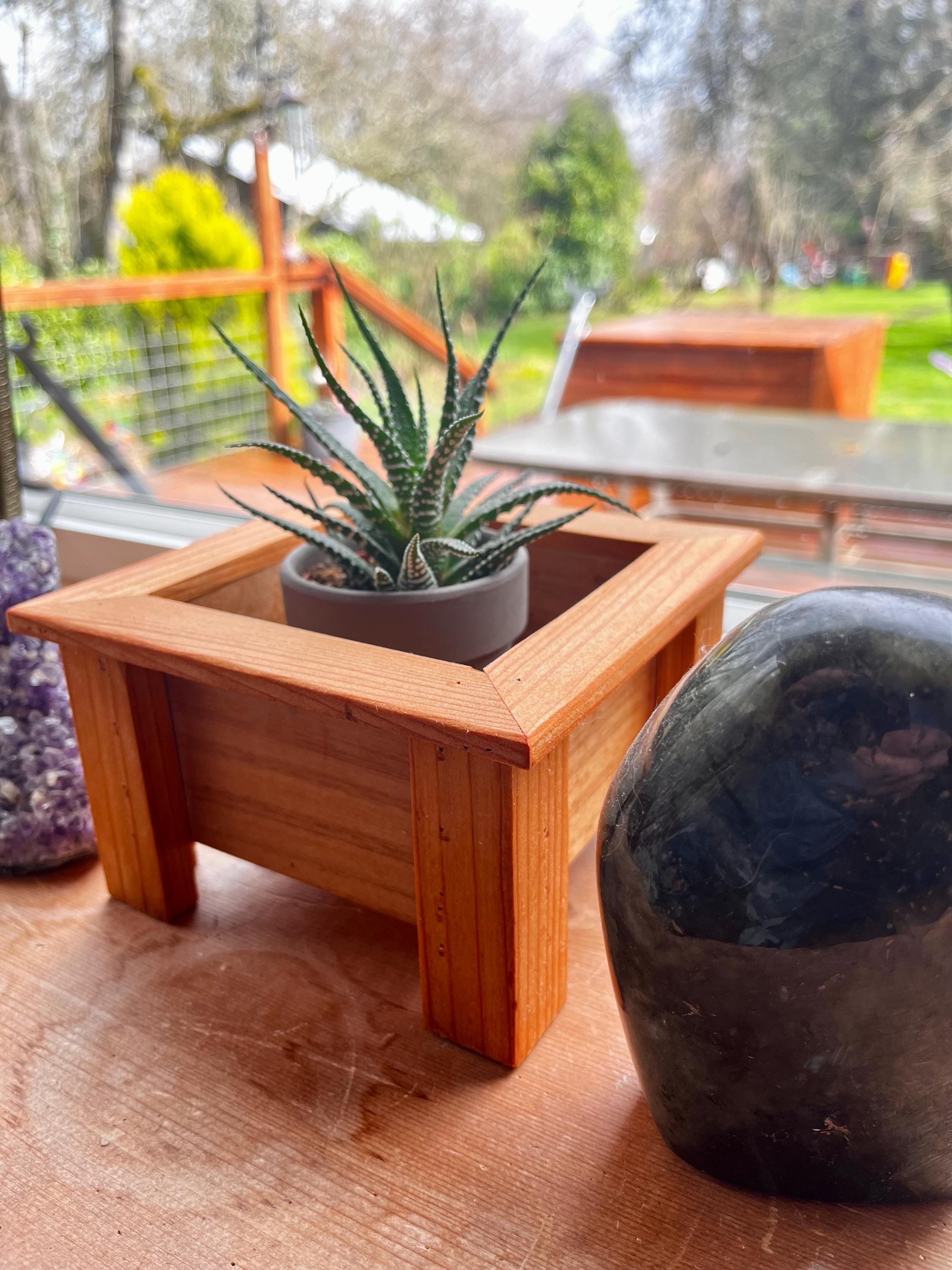 Mini Cedar Plant Stand: Rustic Reclaimed Wood Riser for 3-4" Pots