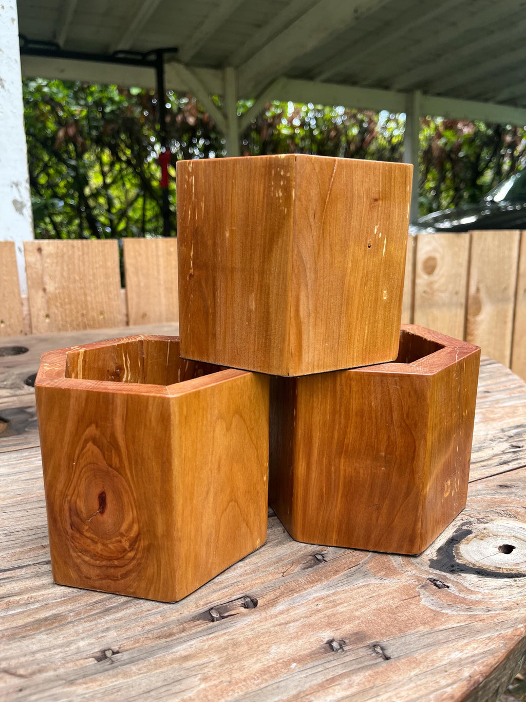 Handmade Apple Wood Pen & Pencil Holder | Locally Grown Heirloom Wood | Rustic Desk Organizer