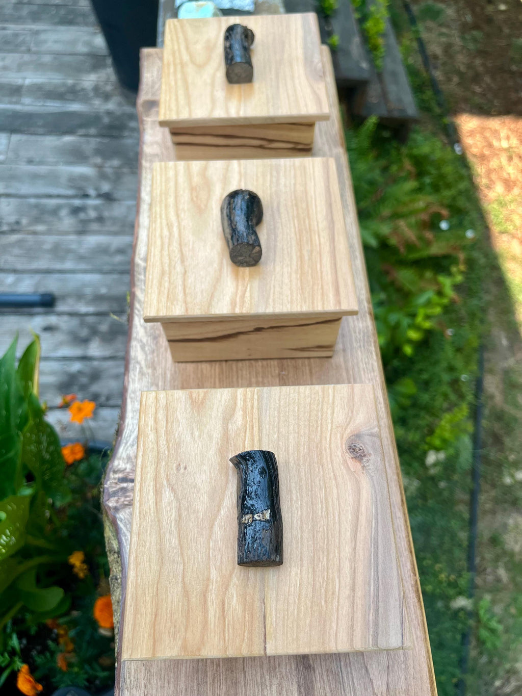 Handmade Zebrawood Box Set: Apple Wood Lids, Oregon Ash Tray