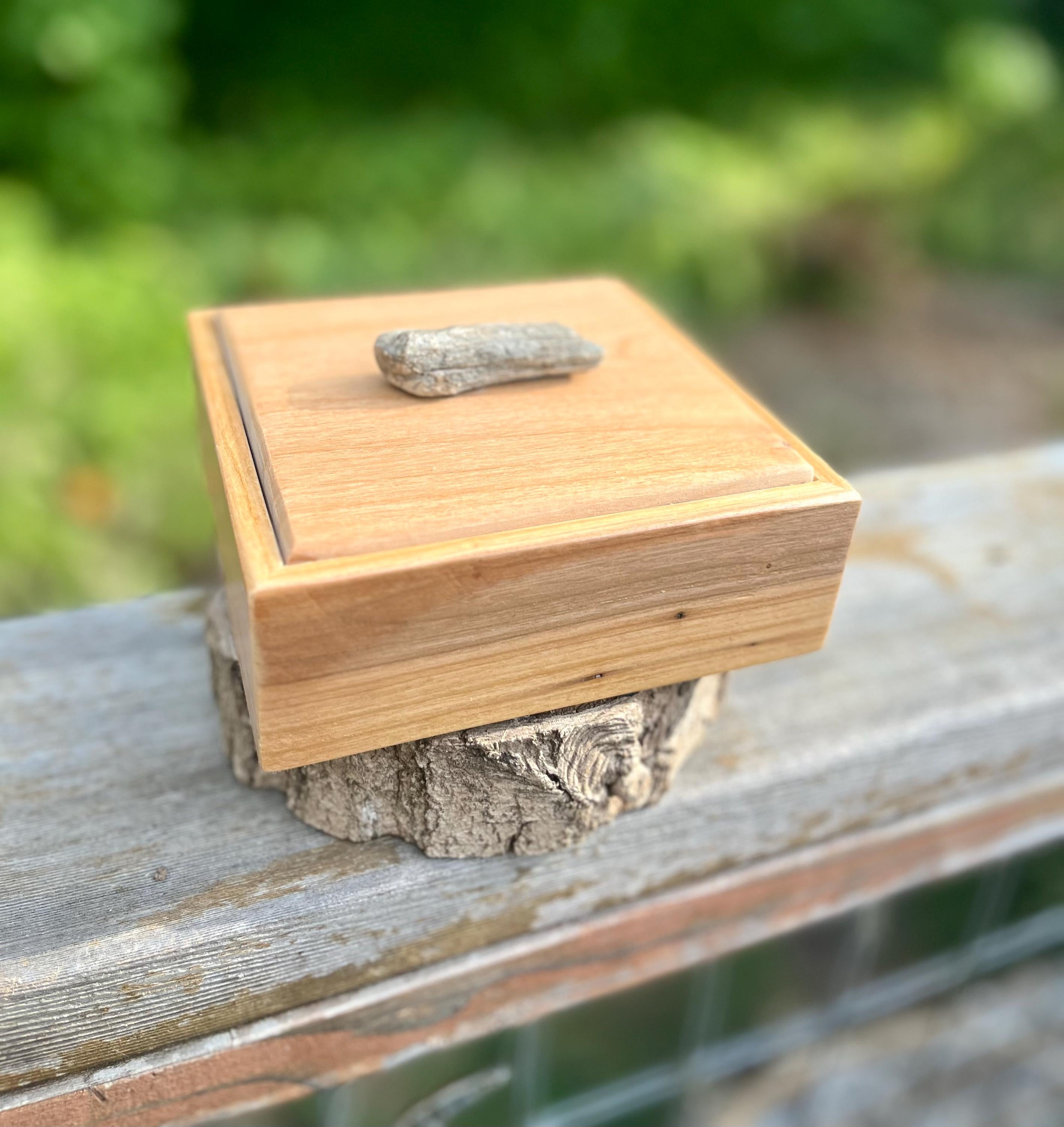 Apple Wood Jewelry Box with Petrified Wood Lid: Green Felt Lined