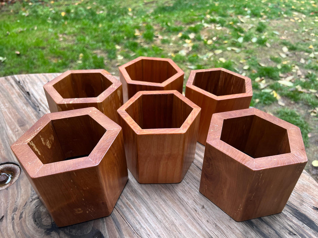 Handmade Apple Wood Pen & Pencil Holder | Locally Grown Heirloom Wood | Rustic Desk Organizer