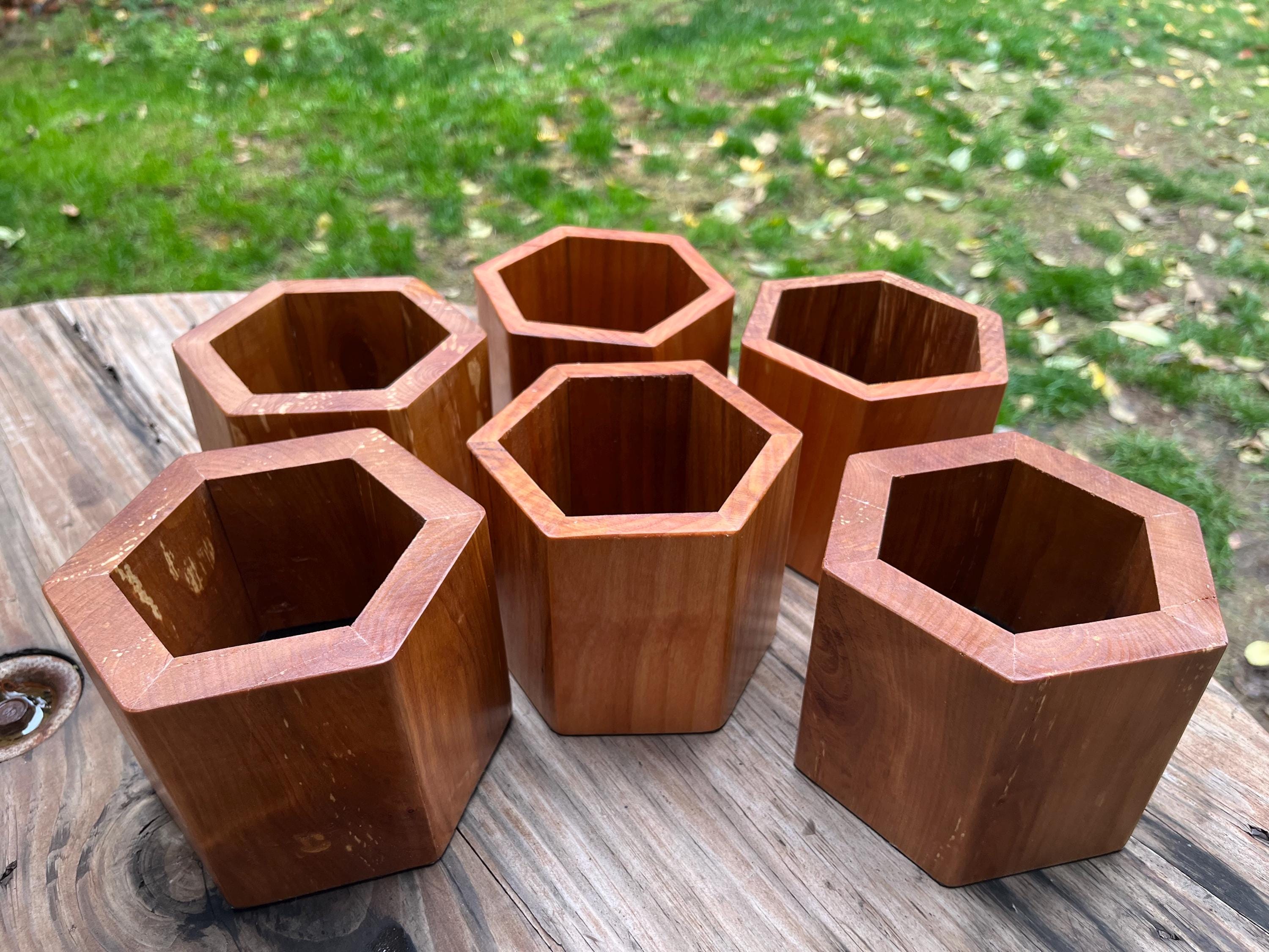 Handmade Apple Wood Pen & Pencil Holder | Locally Grown Heirloom Wood | Rustic Desk Organizer