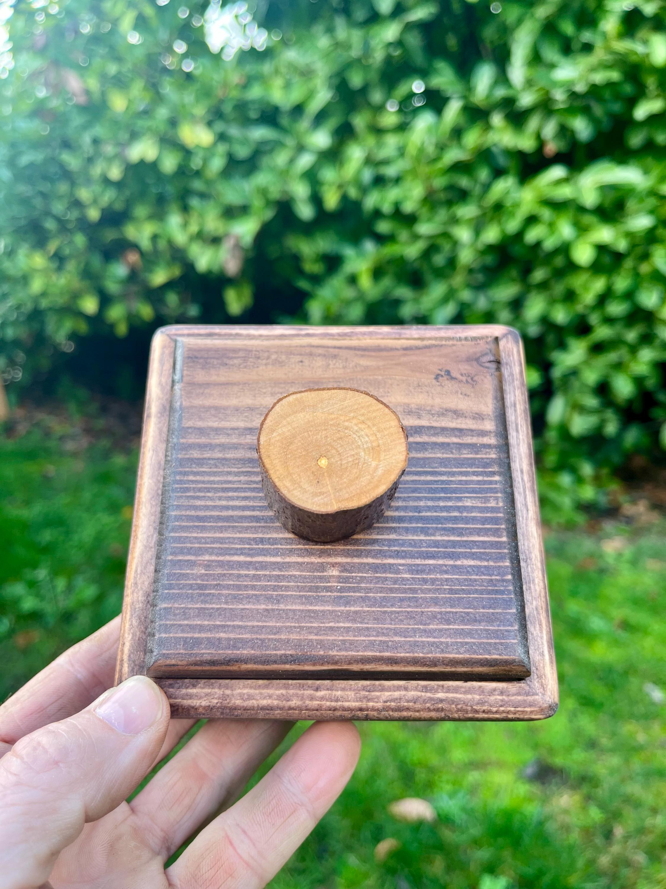 Handmade Spruce Wood Jewelry Box Set – Rustic Plum Wood Pulls, Purple Felt