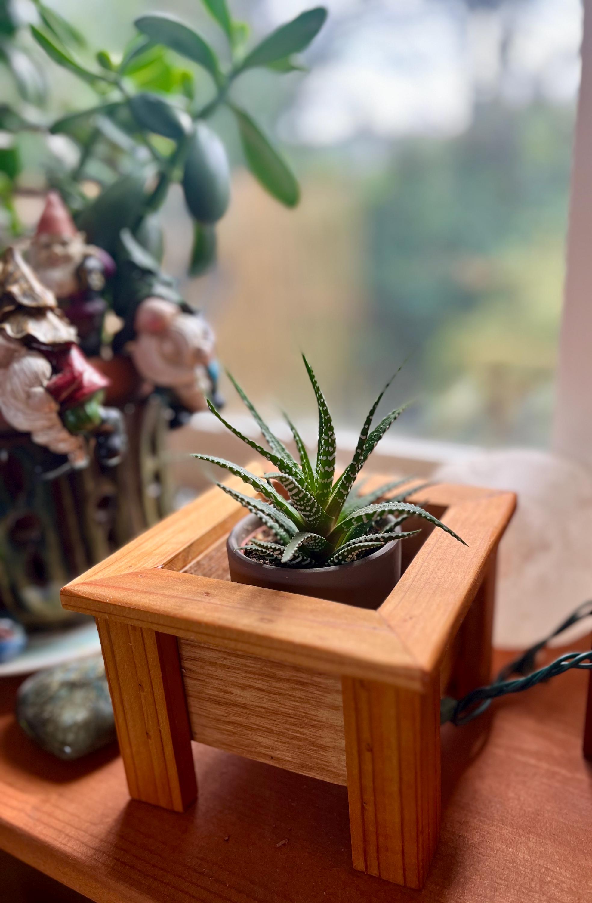 Mini Cedar Plant Stand: Rustic Reclaimed Wood Riser for 3-4" Pots