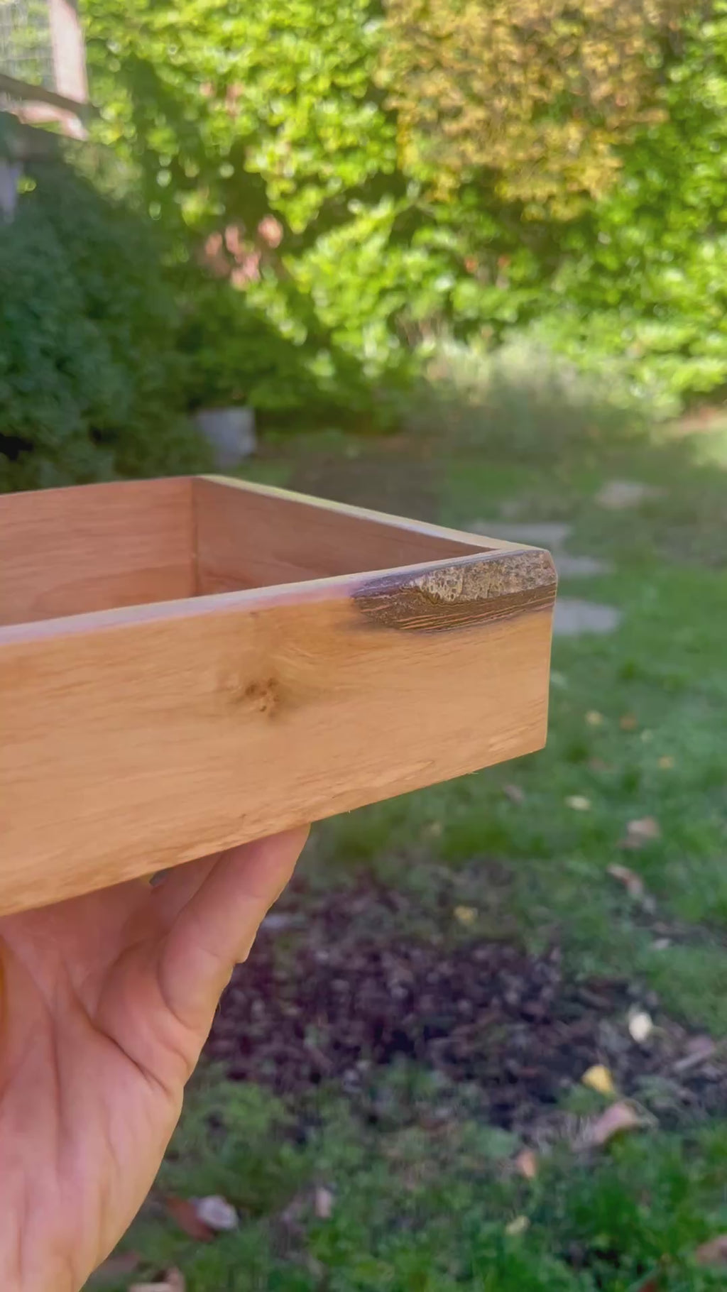 Live Edge Purple Plum Wood Jewelry Tray | Handmade Rustic Decor