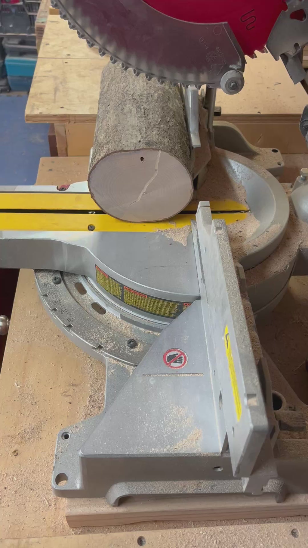 100% Heirloom Apple Wood Plant Stand  on a Live-Edge Base, Handcrafted, Tung Oil Finish