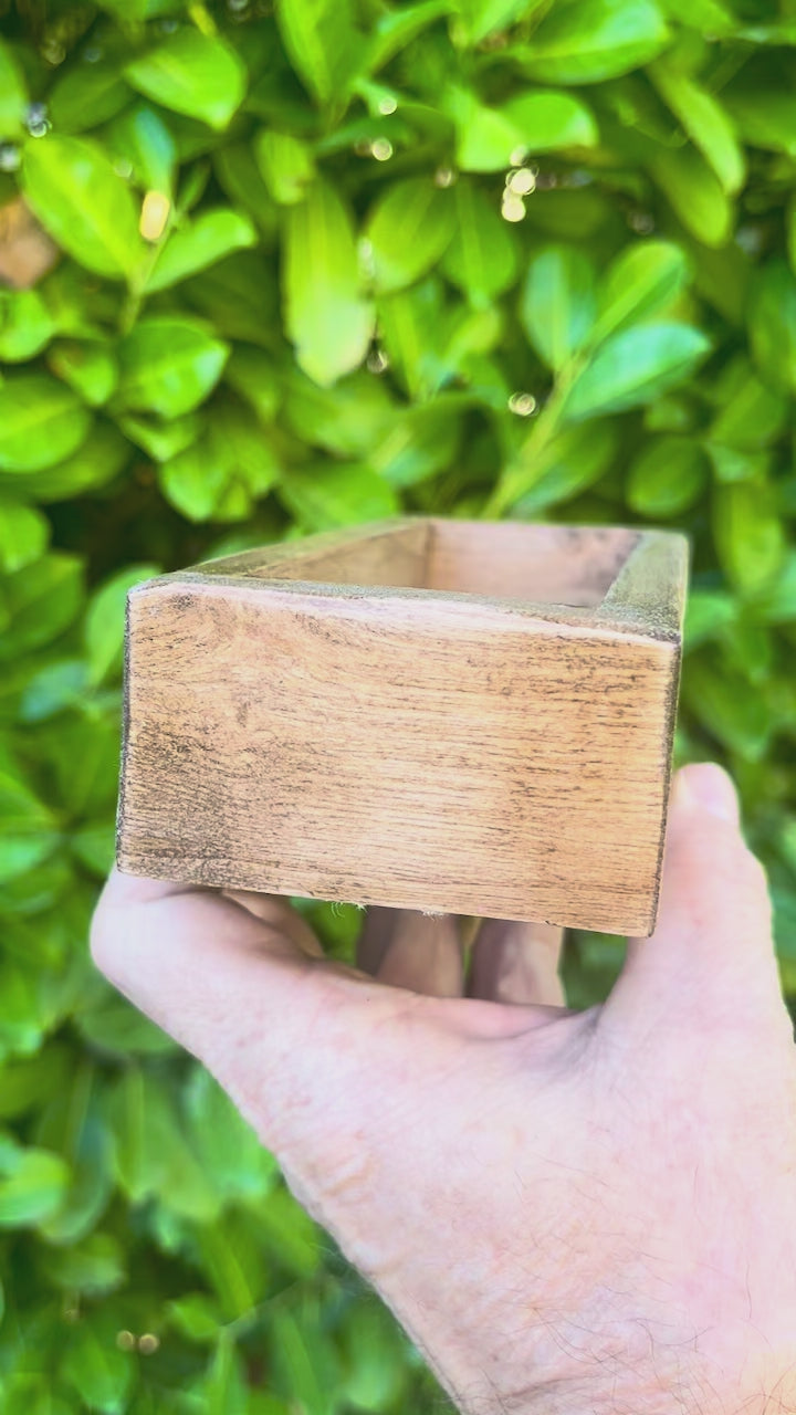 Handmade Plum Wood Jewelry Tray | Live-Edge with Green Felt