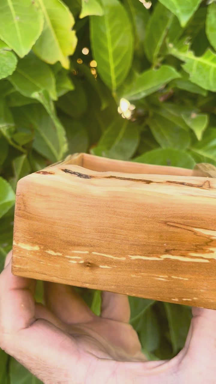Handmade Apple Wood Keepsake Box | Live-Edge Ring Box
