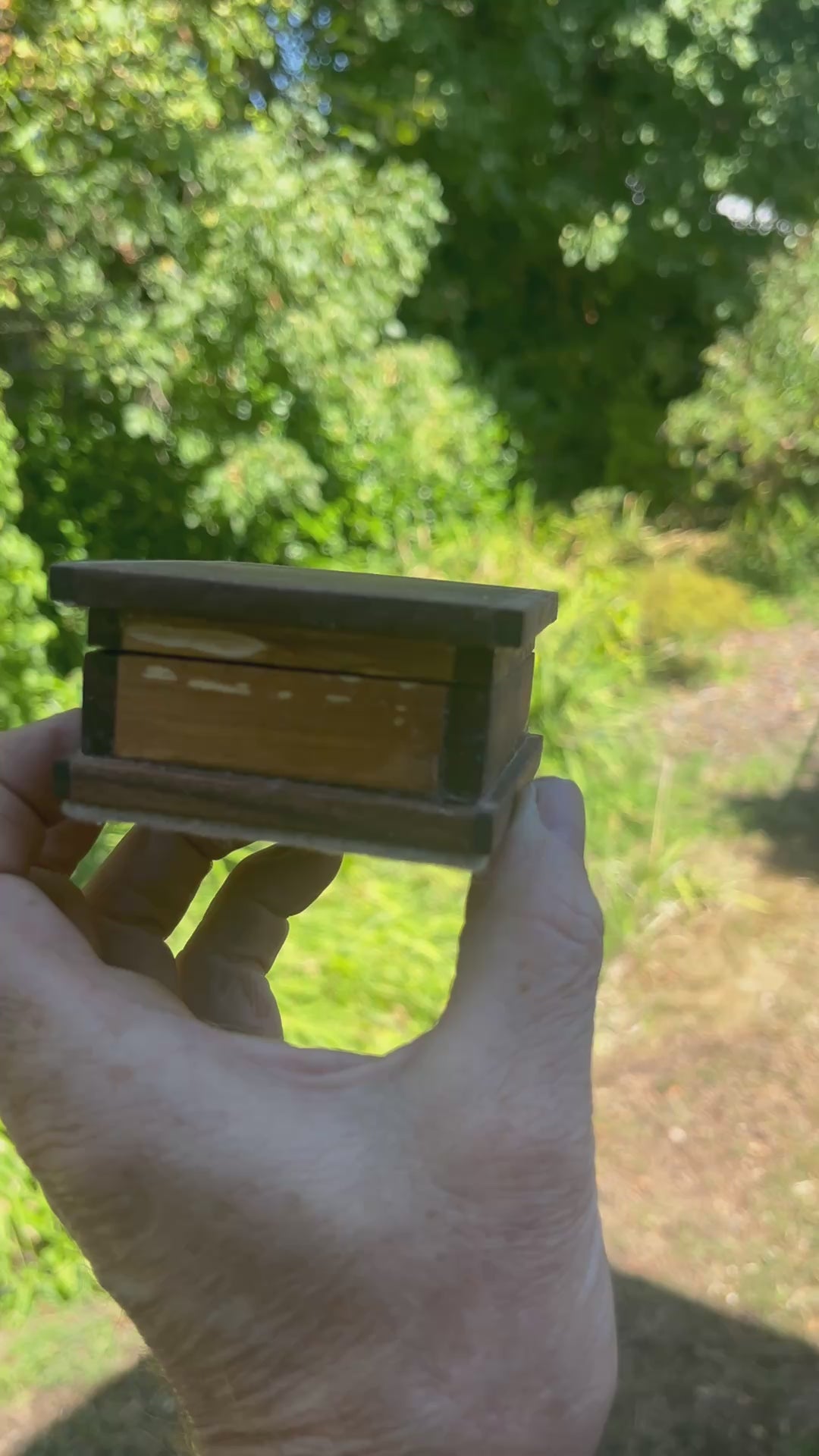 Walnut, Heirloom Apple & Purpleheart Keepsake Box | Removable Lid | Gray Felt | Handmade in Oregon