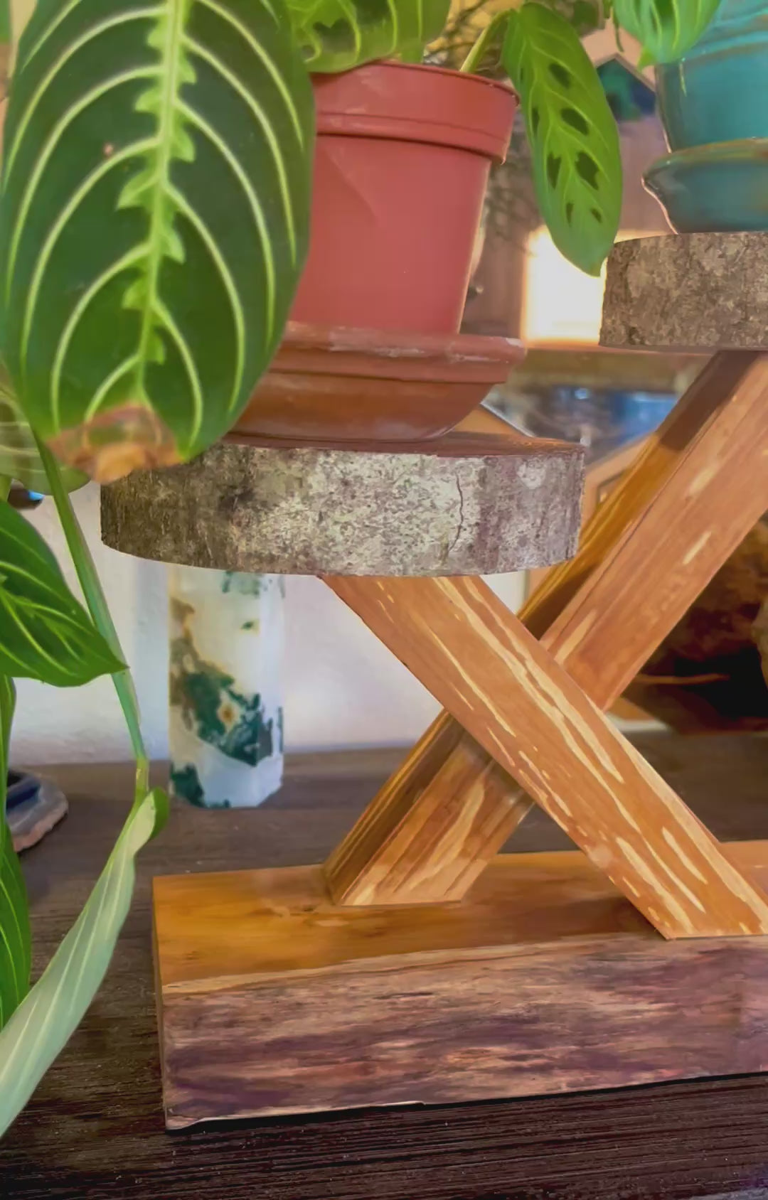 100% Heirloom Apple Wood Plant Stand  on a Live-Edge Base, Handcrafted, Tung Oil Finish