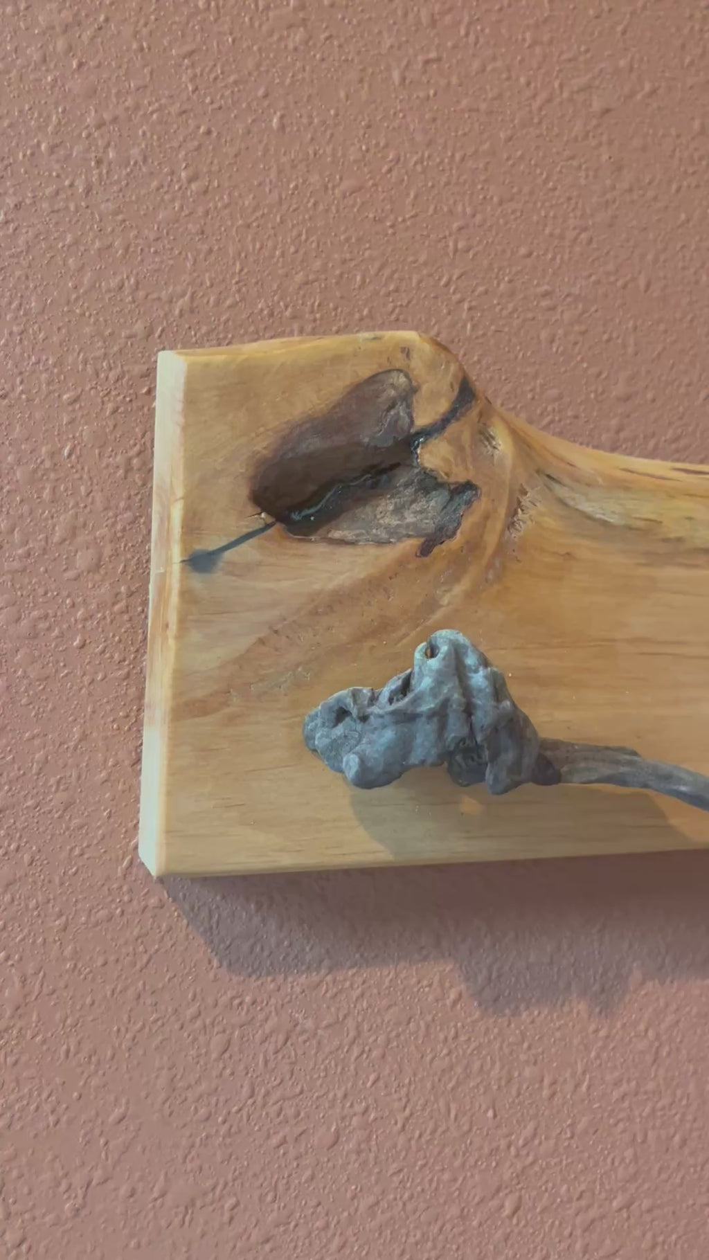 Abstract Live Edge Plum Wood Wall Rack with Driftwood Hooks