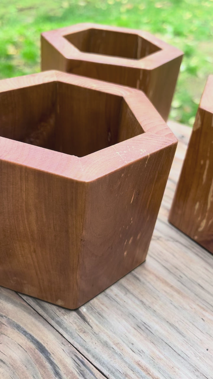 Handmade Apple Wood Pen & Pencil Holder | Locally Grown Heirloom Wood | Rustic Desk Organizer