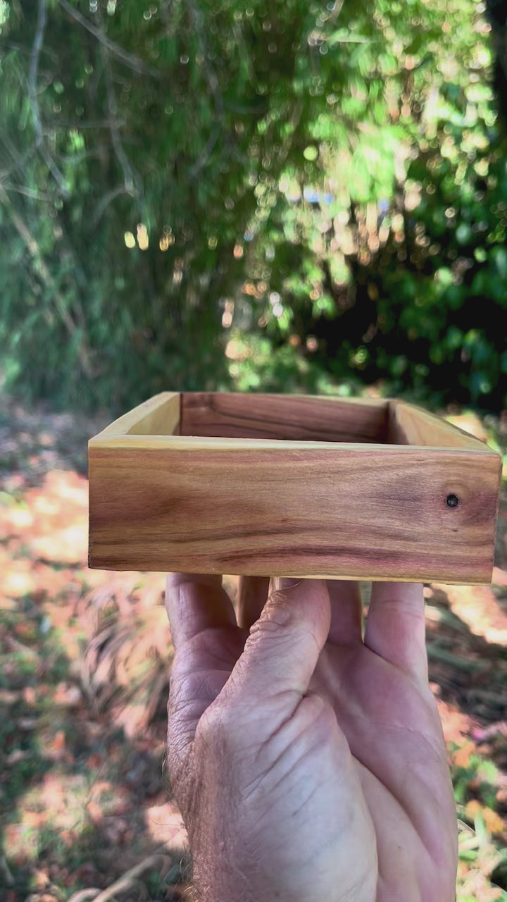 Live-Edge Yellow Plum Wood Jewelry Tray: Handmade Wooden Catchall